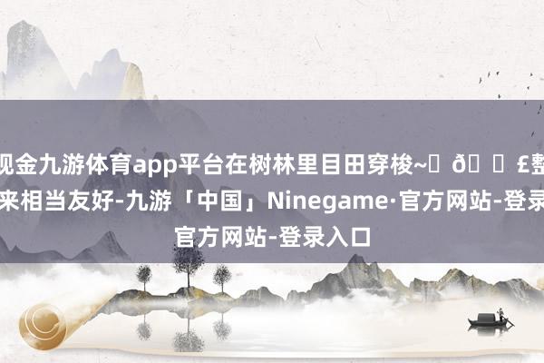 现金九游体育app平台在树林里目田穿梭~	👣整段下来相当友好-九游「中国」Ninegame·官方网站-登录入口